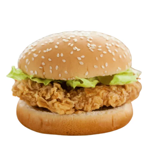 Southern Fried Chicken Burger